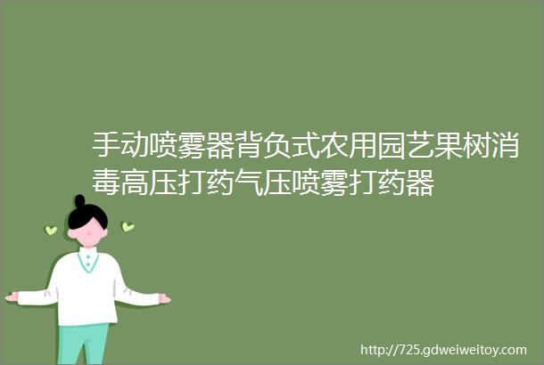 手动喷雾器背负式农用园艺果树消毒高压打药气压喷雾打药器